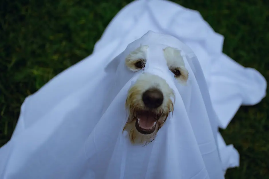 Funny Dog in White Ghost Costume