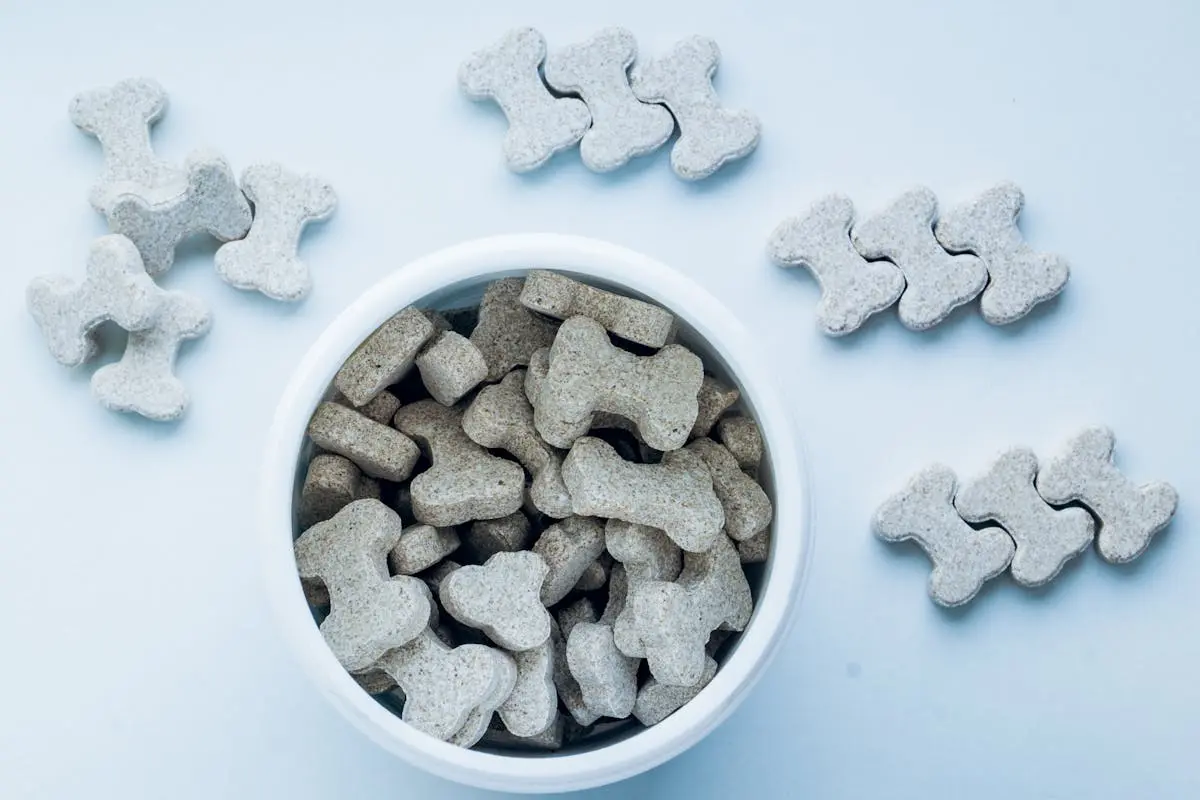 Dog Treat in the Shape of Bones