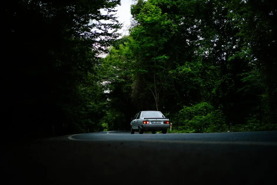 A car is driving down a road in the woods