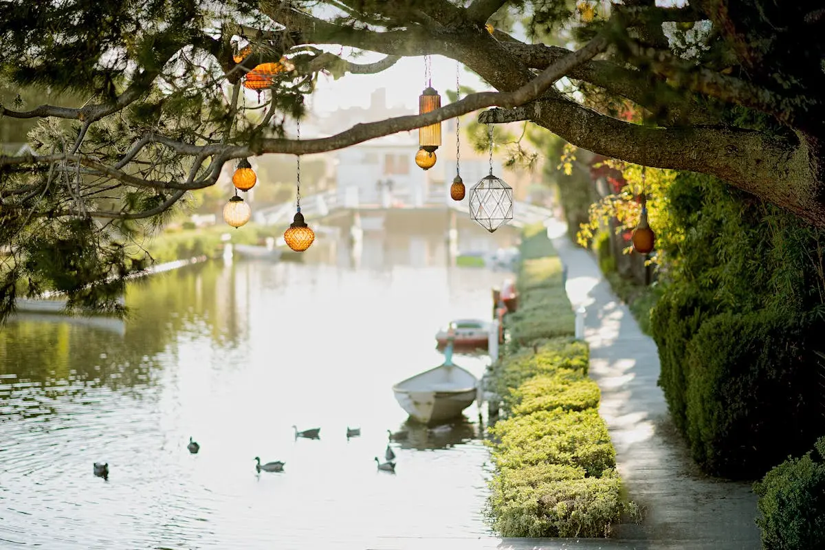 Peaceful waterway with ducks and decorative lanterns on a tree branch.