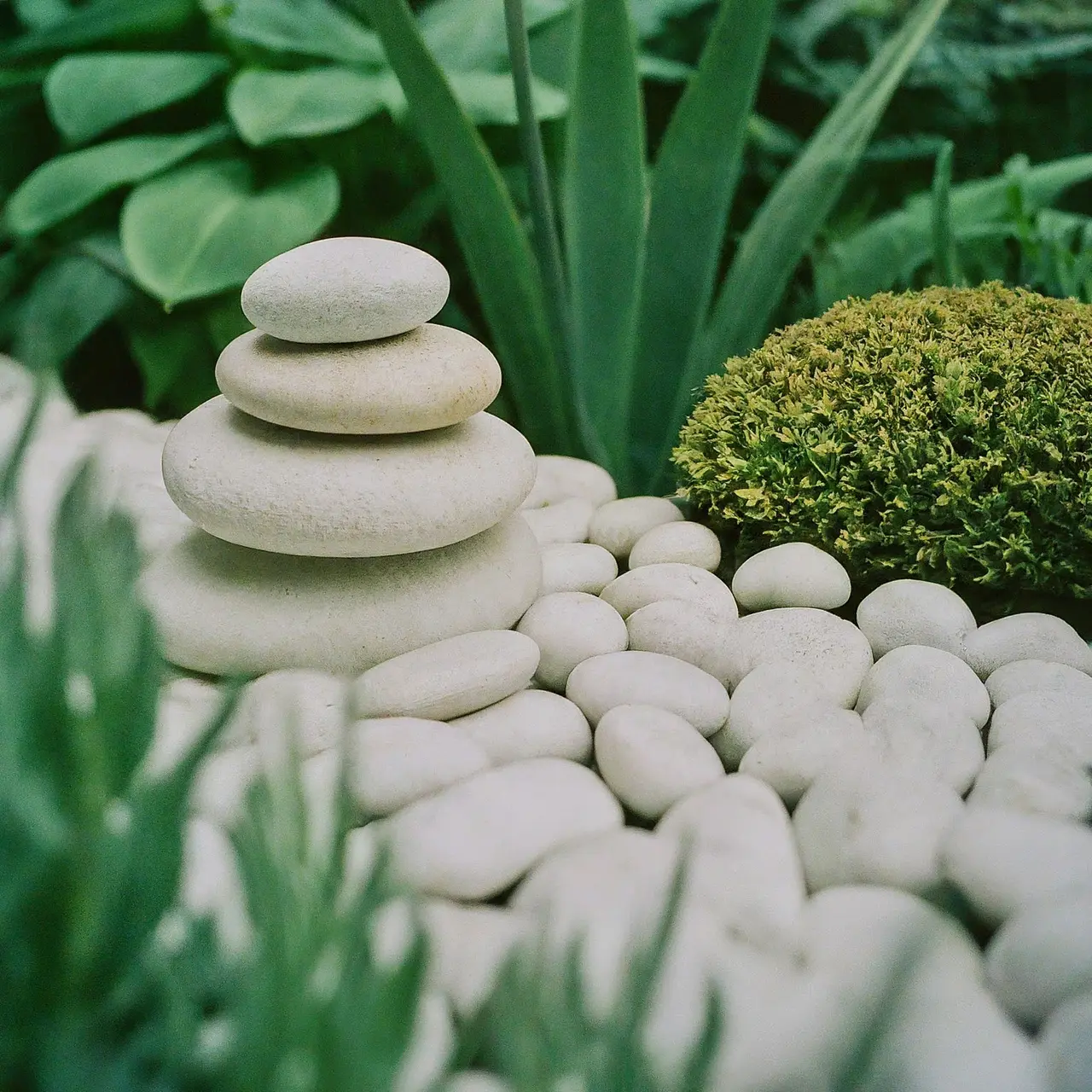 White marble pebbles arranged artfully in a lush garden setting. 35mm stock photo