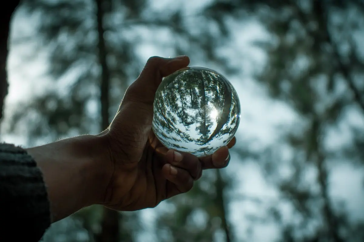 Crop faceless male in sweater with transparent crystal sphere reflecting lush forest trees in daylight