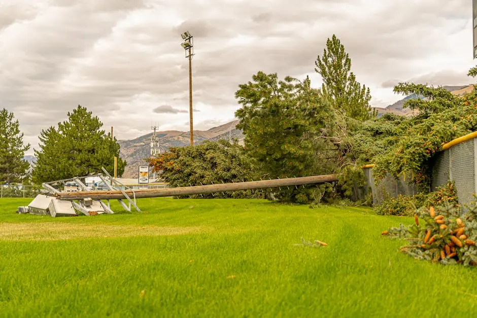 Fallen trees and electric poles after a storm in Hyrum, Utah field.