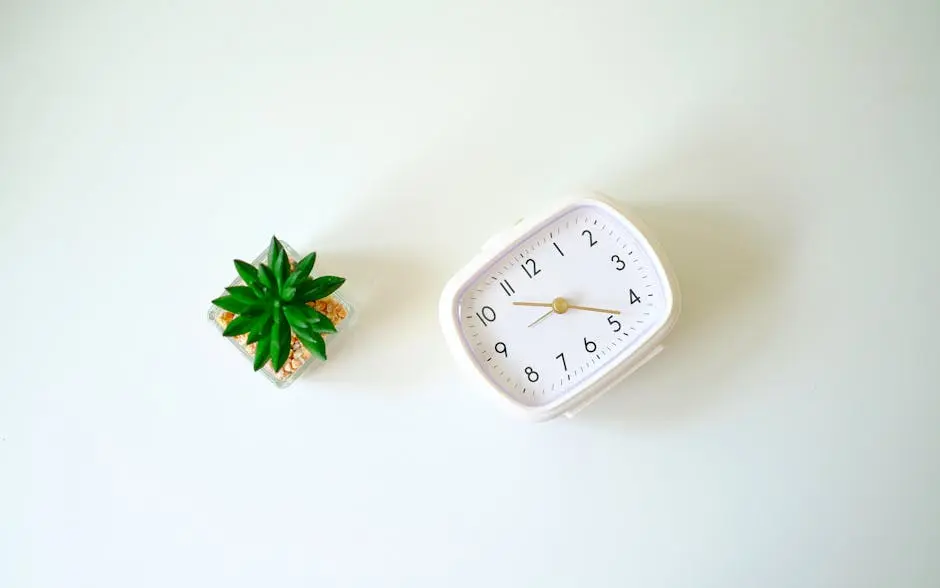 A minimalist desk scene with a white clock and a small cactus plant on a white background.